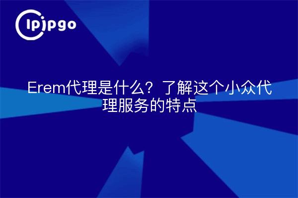 Erem代理是什么？了解这个小众代理服务的特点