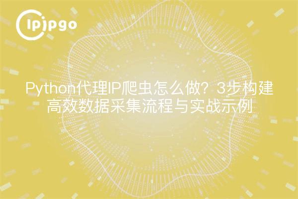 Python代理IP爬虫怎么做？3步构建高效数据采集流程与实战示例