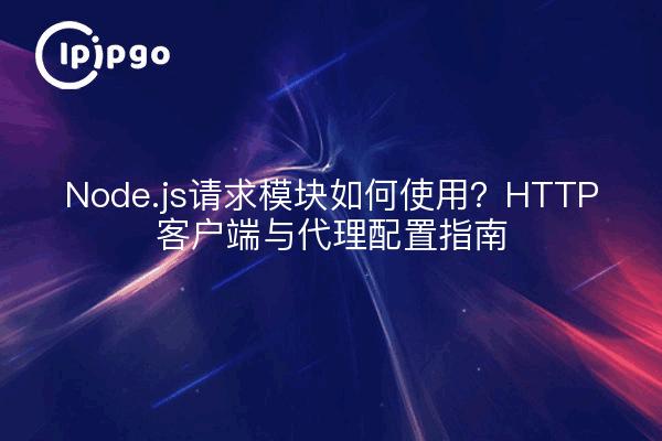Node.js请求模块如何使用？HTTP客户端与代理配置指南