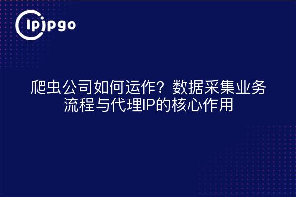 爬虫公司如何运作？数据采集业务流程与代理IP的核心作用