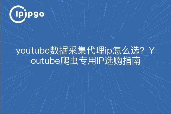 youtube数据采集代理ip怎么选?Youtube爬虫专用IP选购指南