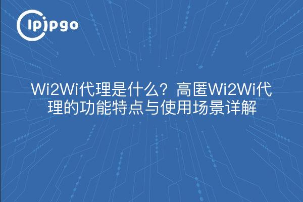 Wi2Wi代理是什么?高匿Wi2Wi代理的功能特点与使用场景详解