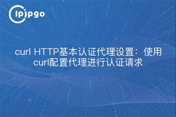curl HTTP基本认证代理设置：使用curl配置代理进行认证请求