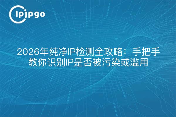 2026年纯净IP检测全攻略：手把手教你识别IP是否被污染或滥用