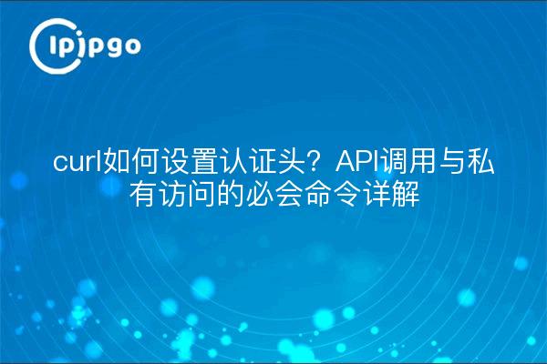 curl如何设置认证头?API调用与私有访问的必会命令详解