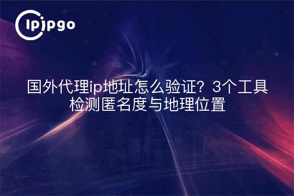 国外代理ip地址怎么验证？3个工具检测匿名度与地理位置