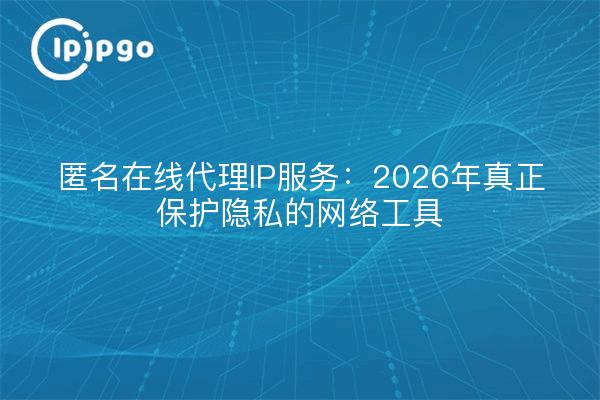 匿名在线代理IP服务：2026年真正保护隐私的网络工具