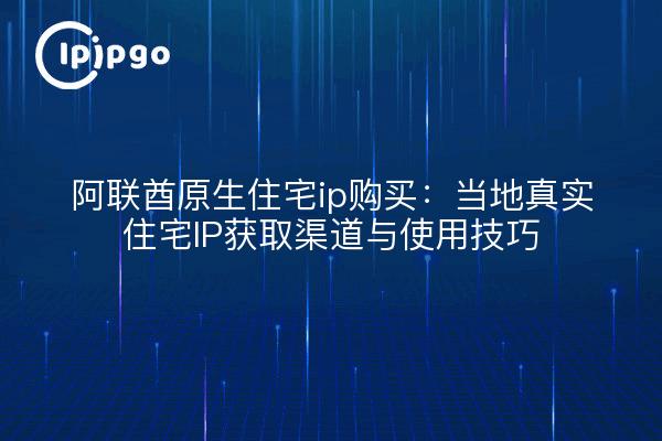 阿联酋原生住宅ip购买：当地真实住宅IP获取渠道与使用技巧