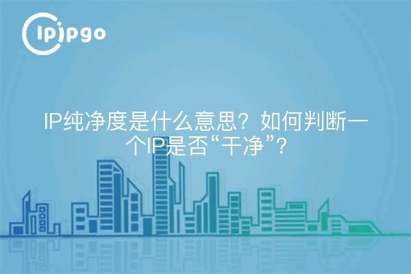 IP纯净度是什么意思？如何判断一个IP是否“干净”？