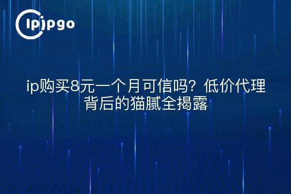 ip购买8元一个月可信吗?低价代理背后的猫腻全揭露