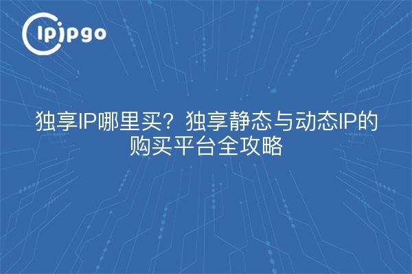 独享IP哪里买？独享静态与动态IP的购买平台全攻略