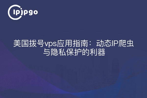 美国拨号vps应用指南:动态IP爬虫与隐私保护的利器