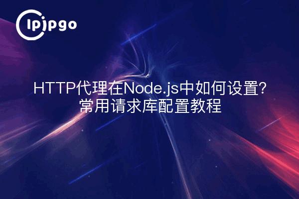 HTTP代理在Node.js中如何设置？常用请求库配置教程