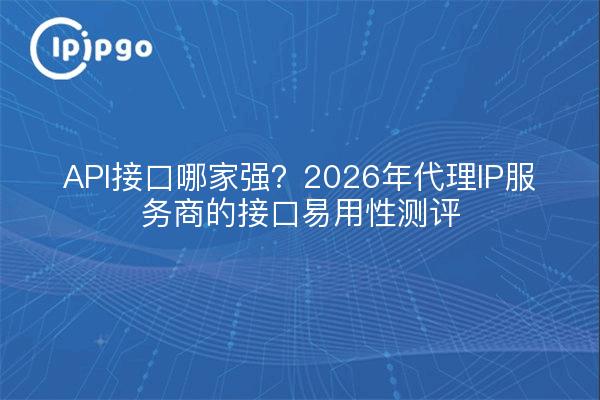 API接口哪家强？2026年代理IP服务商的接口易用性测评