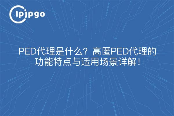 PED代理是什么?高匿PED代理的功能特点与适用场景详解!