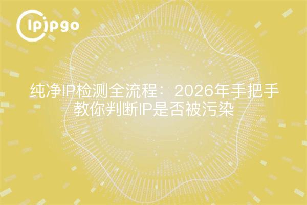 纯净IP检测全流程:2026年手把手教你判断IP是否被污染