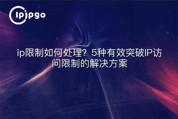 ip限制如何处理？5种有效突破IP访问限制的解决方案
