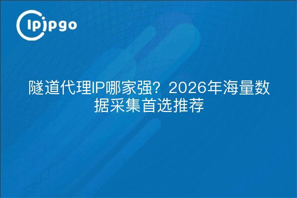 隧道代理IP哪家强？2026年海量数据采集首选推荐