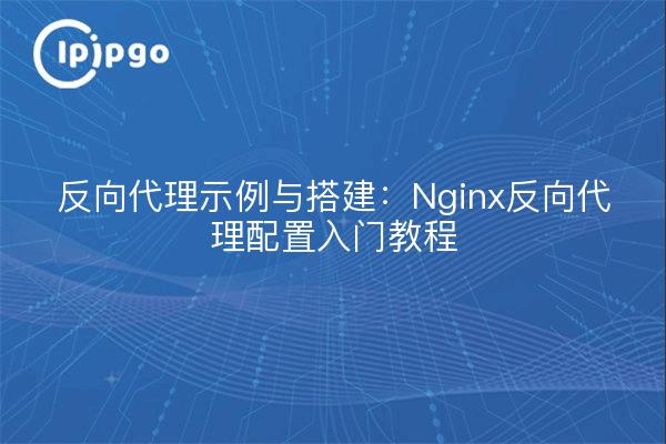 反向代理示例与搭建：Nginx反向代理配置入门教程