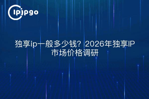 独享ip一般多少钱？2026年独享IP市场价格调研
