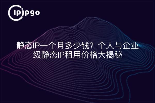 静态IP一个月多少钱？个人与企业级静态IP租用价格大揭秘