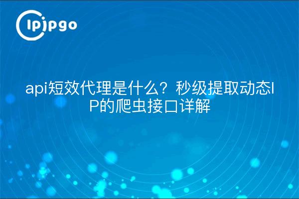 api短效代理是什么？秒级提取动态IP的爬虫接口详解