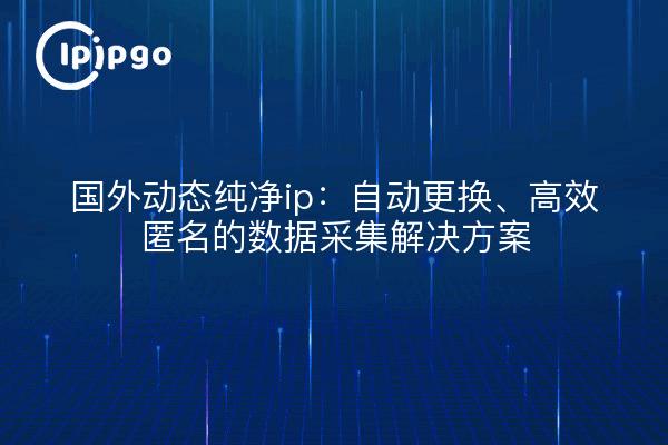 国外动态纯净ip：自动更换、高效匿名的数据采集解决方案