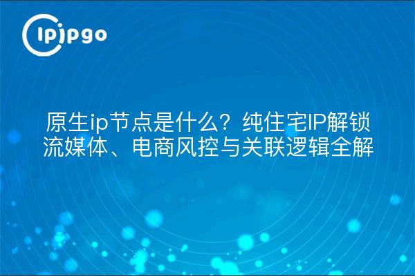 原生ip节点是什么？纯住宅IP解锁流媒体、电商风控与关联逻辑全解