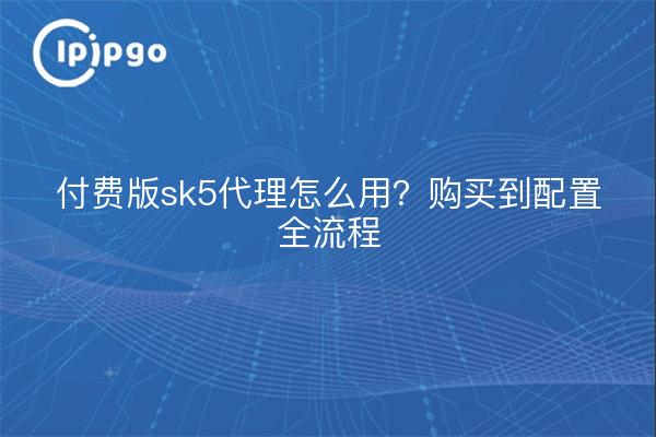 付费版sk5代理怎么用?购买到配置全流程