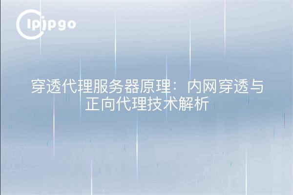 穿透代理服务器原理：内网穿透与正向代理技术解析