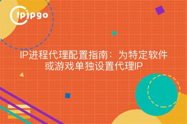 IP进程代理配置指南：为特定软件或游戏单独设置代理IP