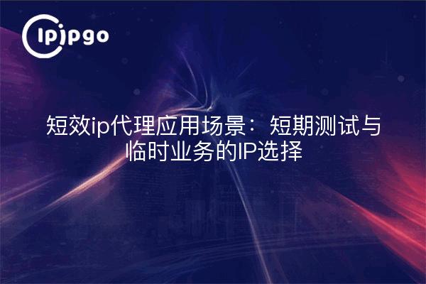 短效ip代理应用场景：短期测试与临时业务的IP选择