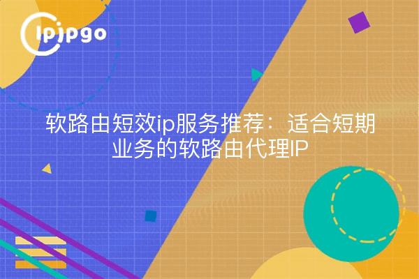 软路由短效ip服务推荐：适合短期业务的软路由代理IP