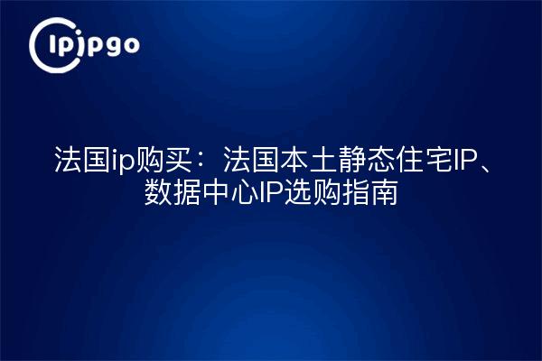法国ip购买：法国本土静态住宅IP、数据中心IP选购指南