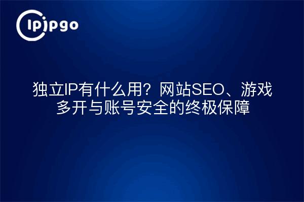 独立IP有什么用？网站SEO、游戏多开与账号安全的终极保障