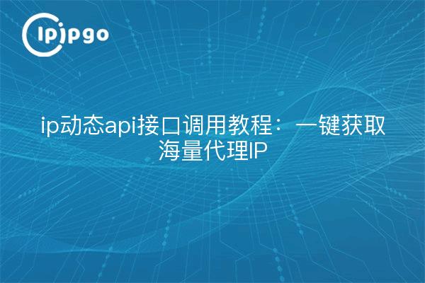 ip动态api接口调用教程：一键获取海量代理IP