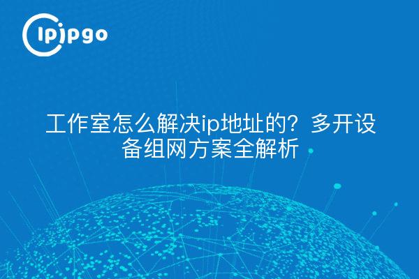 工作室怎么解决ip地址的？多开设备组网方案全解析