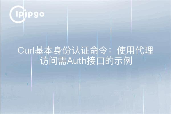 Curl基本身份认证命令：使用代理访问需Auth接口的示例