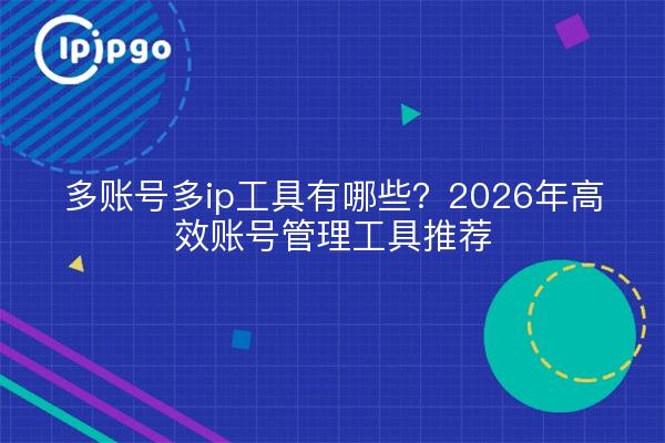 多账号多ip工具有哪些？2026年高效账号管理工具推荐
