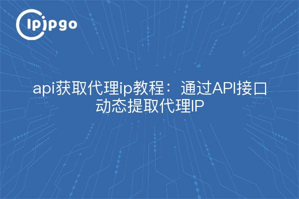 api获取代理ip教程：通过API接口动态提取代理IP