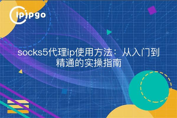 socks5代理ip使用方法：从入门到精通的实操指南