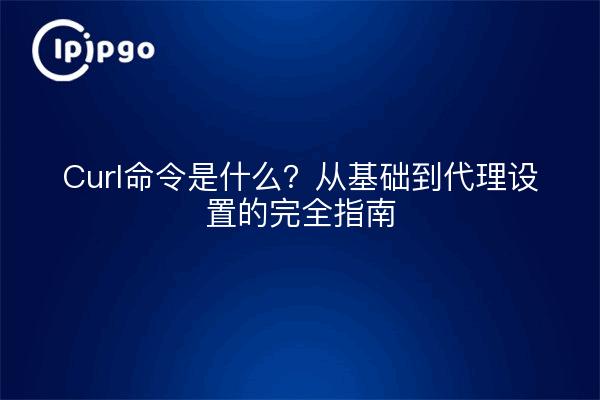 Curl命令是什么？从基础到代理设置的完全指南