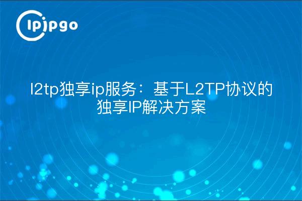 l2tp独享ip服务：基于L2TP协议的独享IP解决方案