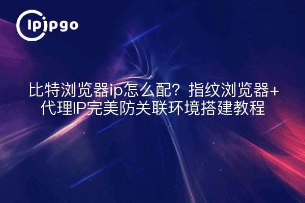 比特浏览器ip怎么配？指纹浏览器+代理IP完美防关联环境搭建教程