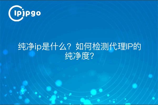 纯净ip是什么？如何检测代理IP的纯净度？