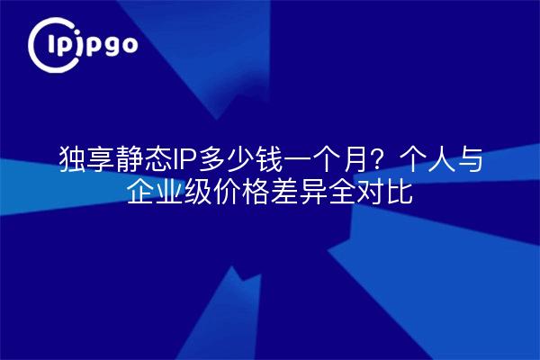 独享静态IP多少钱一个月？个人与企业级价格差异全对比