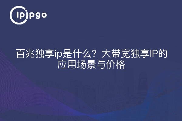 百兆独享ip是什么？大带宽独享IP的应用场景与价格