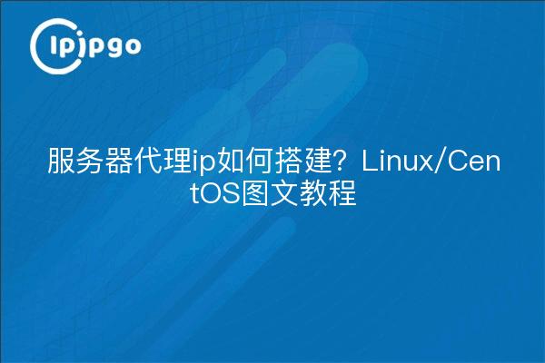 服务器代理ip如何搭建？Linux/CentOS图文教程