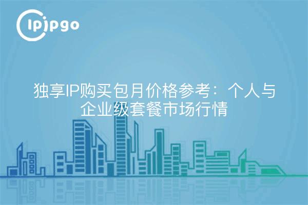 独享IP购买包月价格参考：个人与企业级套餐市场行情