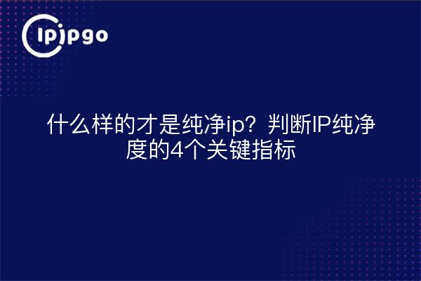 什么样的才是纯净ip？判断IP纯净度的4个关键指标